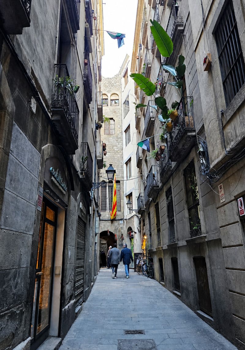 Carrer paradis