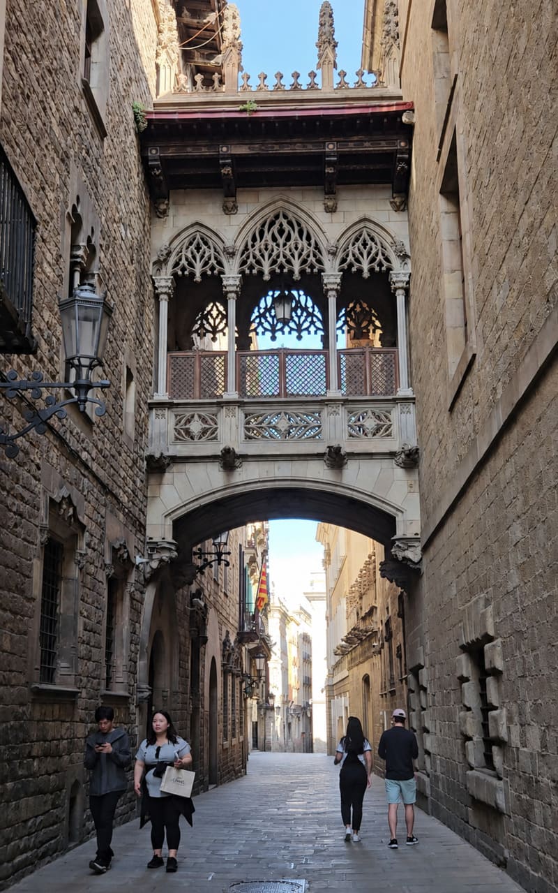 Pont del bisbe