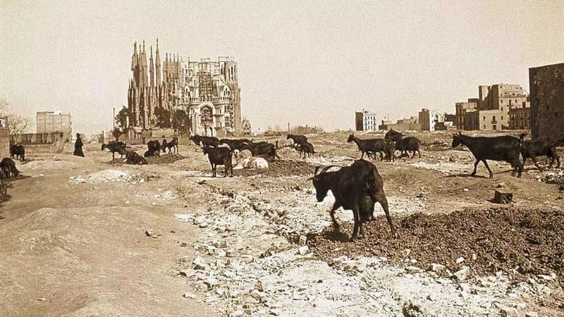 140+ Years of the Sagrada Família in Photos