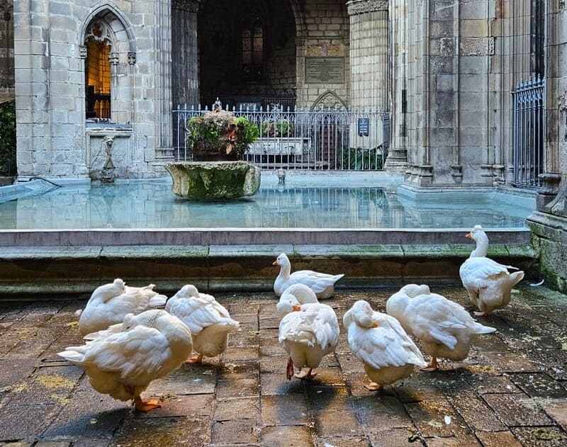 Top 18 Best FREE Things to Do in Barcelona