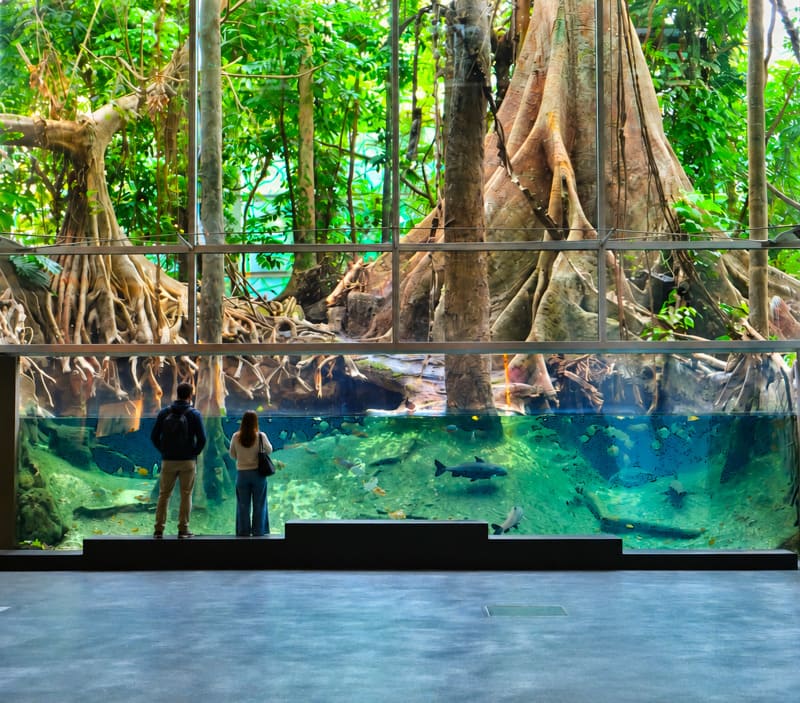 Cosmocaixa