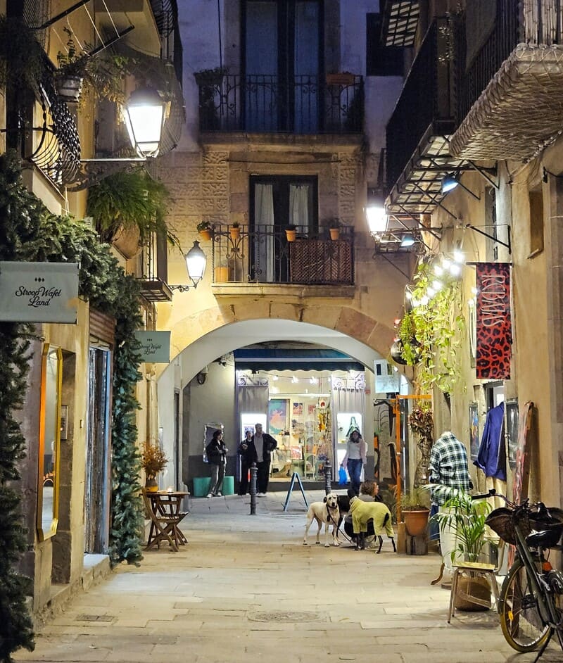 El born street night