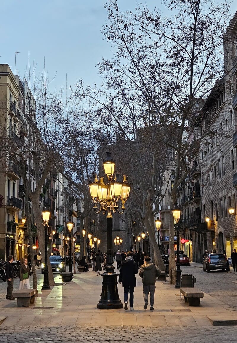 Passeig del born
