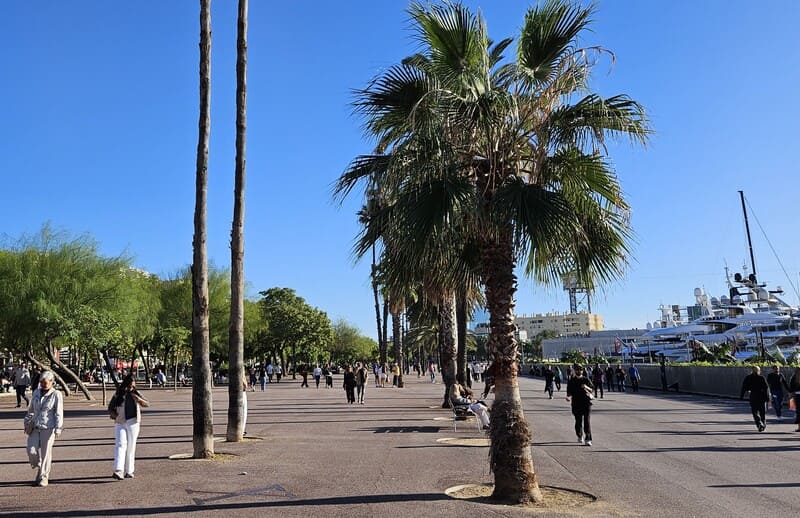 Passeig joan borbo